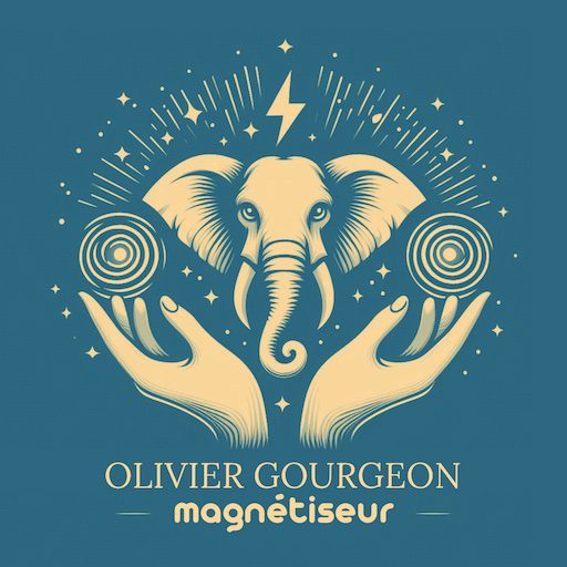 Logo magnetiseur en couleur