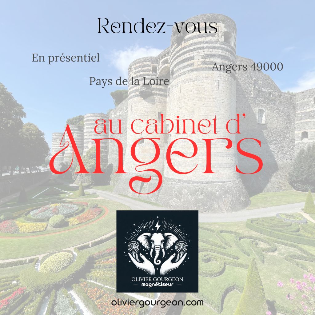 Château d'Angers et douceur angevine