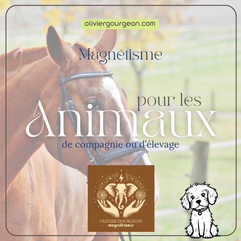 Animaux de compagnie